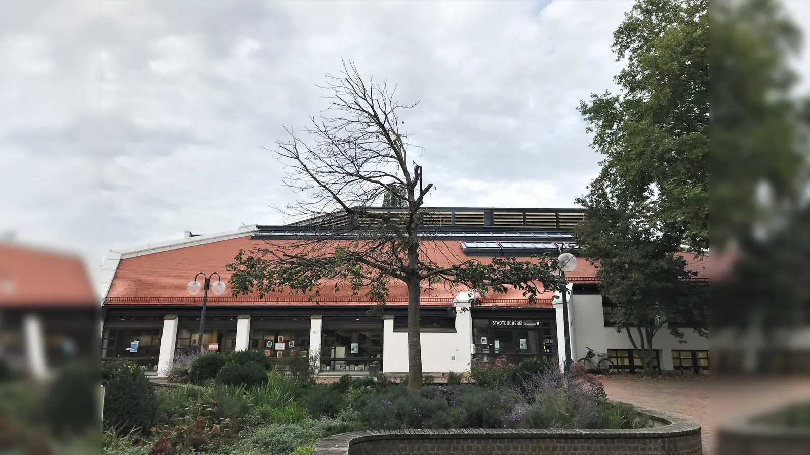 Diese Kastanie ist nicht mehr zu retten. (Foto: privat)