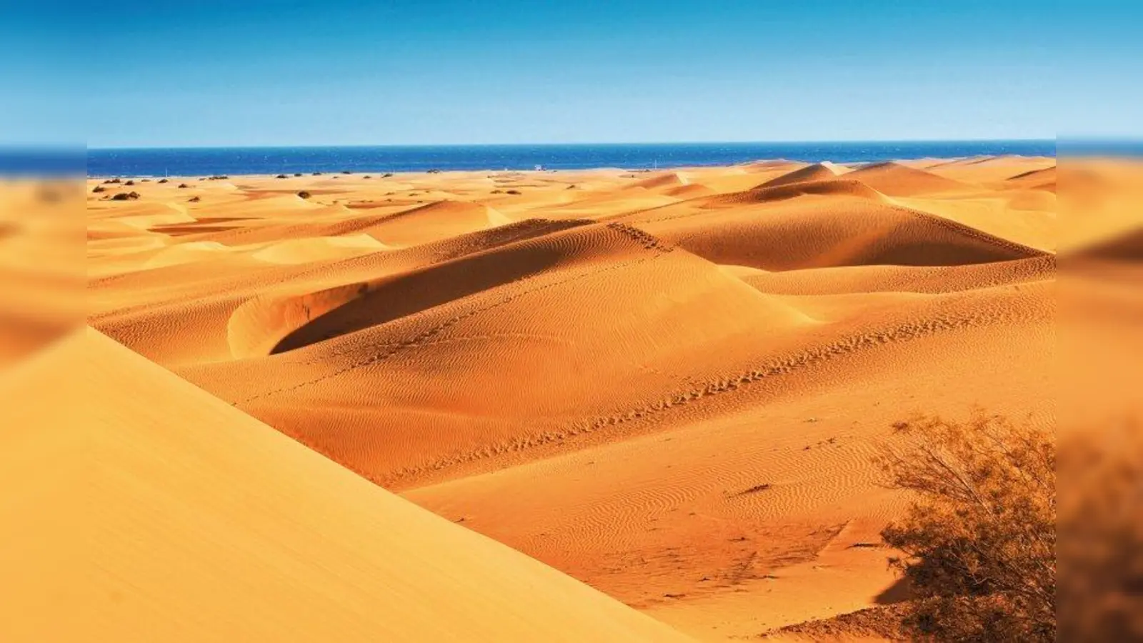 Großartiges Naturphänomen: Die Dünen von Maspalomas. (Foto: nito – fotolia.com)