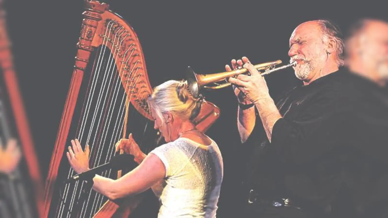 Unverschämte Wirtshausmusik spielen Konstanze Kraus und Otto Göttler am 11. März in Glonn.	 (Foto: VA)