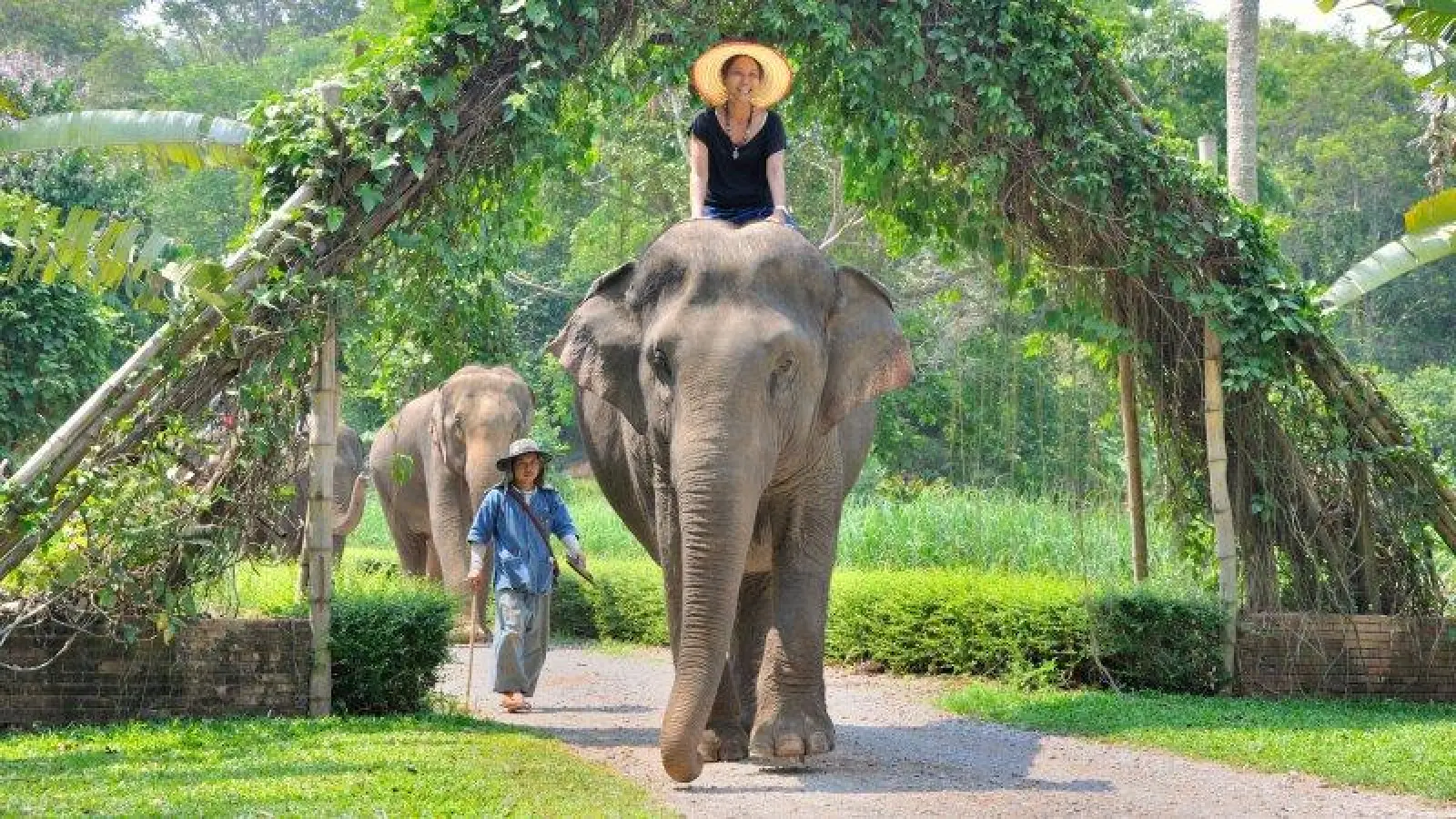 Rund 500.000 Deutsche reisen jedes Jahr nach Thailand und lassen sich vom „Land des Lächelns” verzaubern. (Foto: pi)