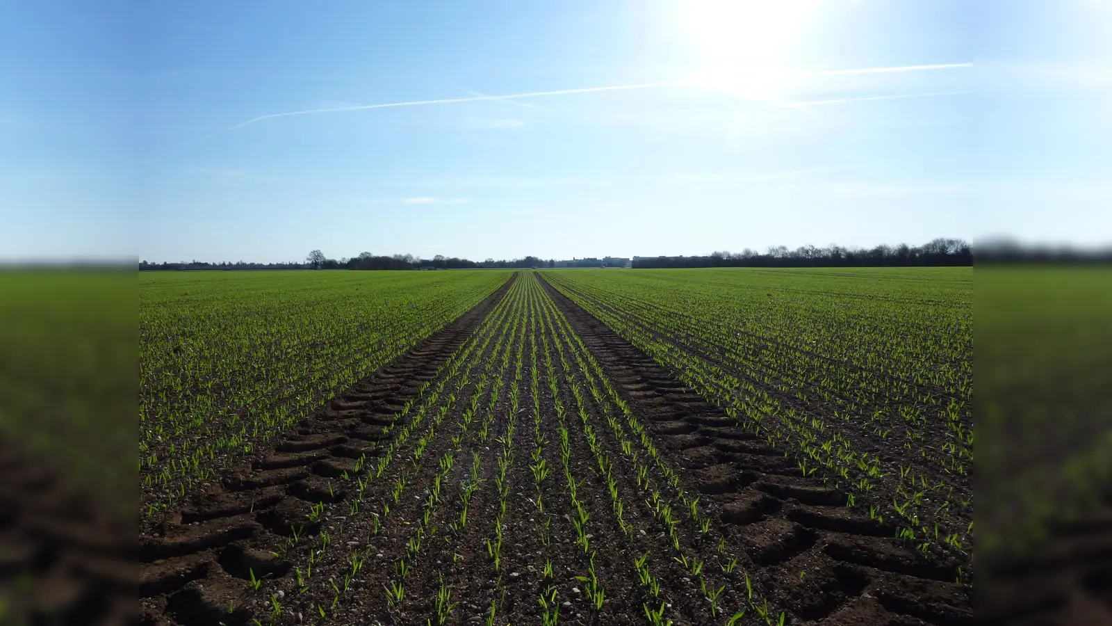 In Unterhaching gibt es derzeit noch fünf aktive Höfe, die Landwirtschaft betreiben. (Foto: VA)