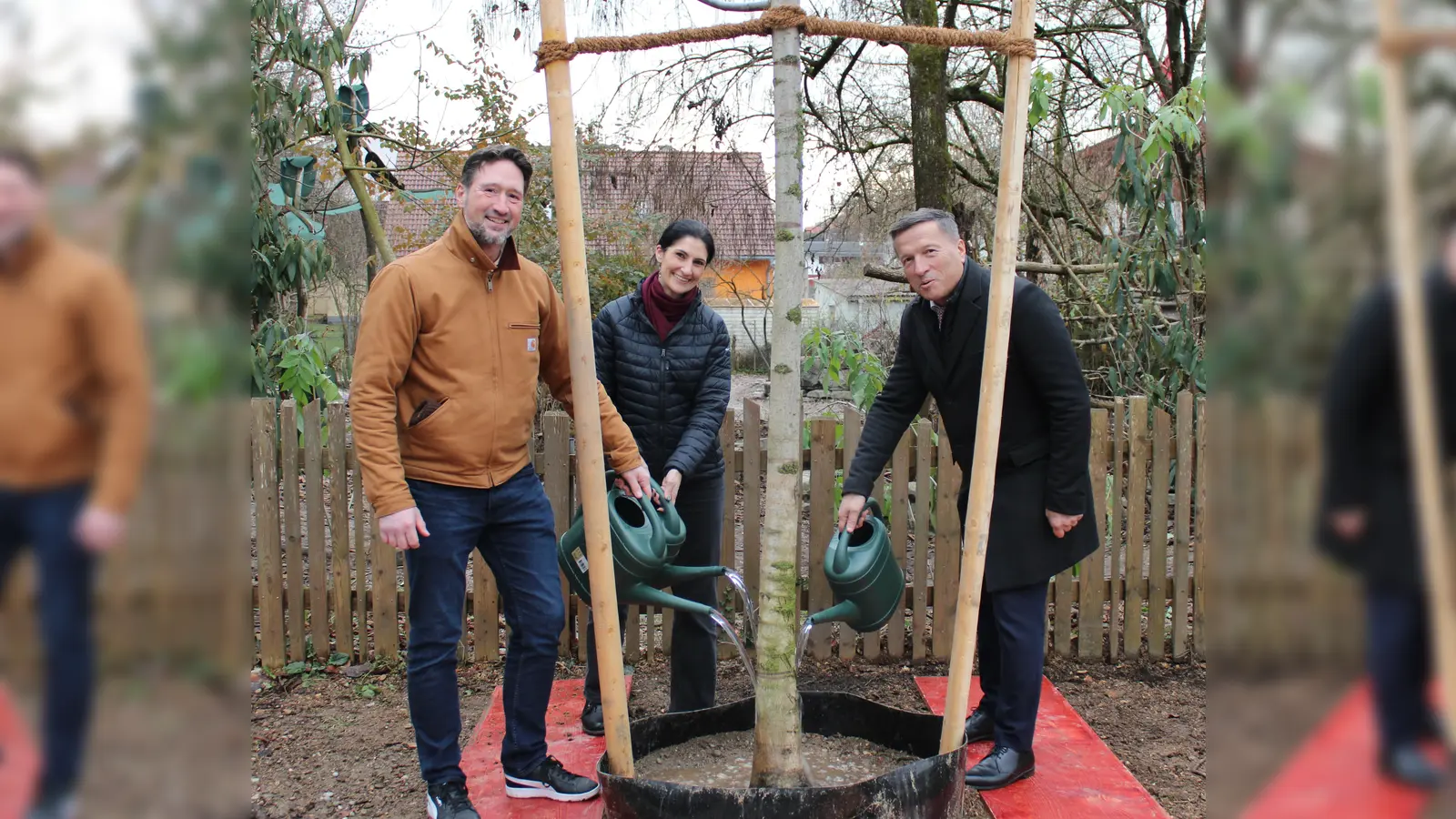 Ei neuer Baum ziert den Grünen Markt. Eine Spende von Amadeus. (Foto: C. Wanninger)