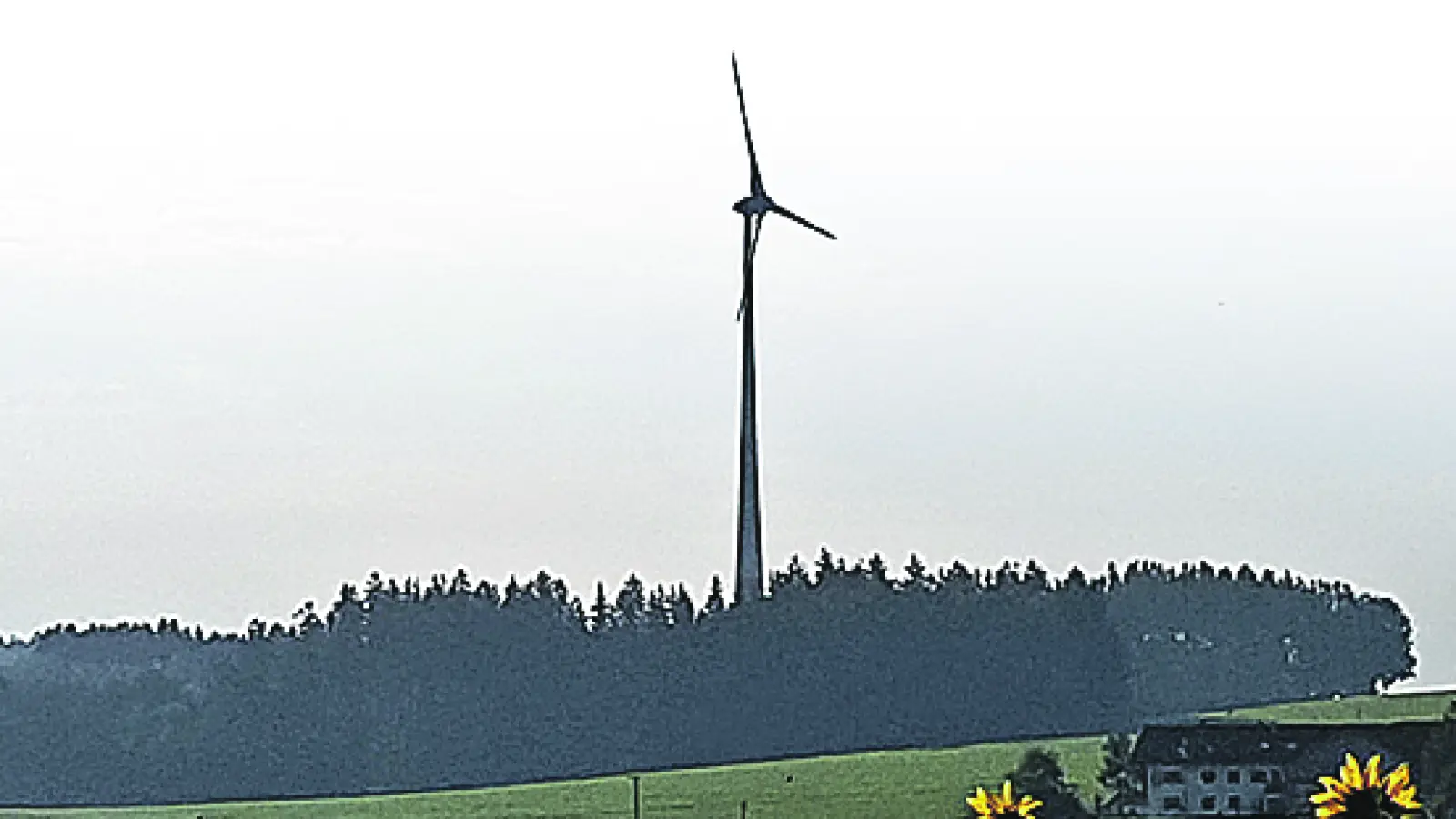 Derzeit laufen die Untersuchungen, ob eine Nutzung der Windenergie im Höhenkirchner Forst ökonomisch, ökologisch und planerisch sinnvoll ist. (Foto: Stefan Dohl)