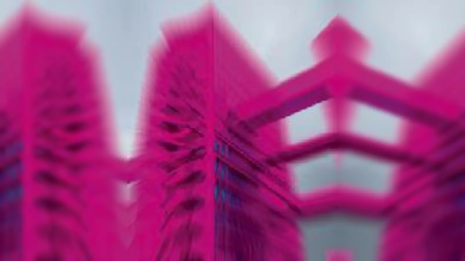 Jörg Bachhofer und die Münchner Lichtbildner stellen im Kunstforum aus.  (Foto: VA)