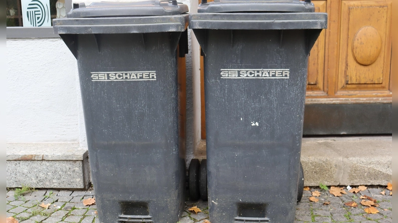 In Einzelfällen kann es am Donnerstag auch zu Verschiebungen bei der Tonnenleerung kommen.  (Foto: mha)