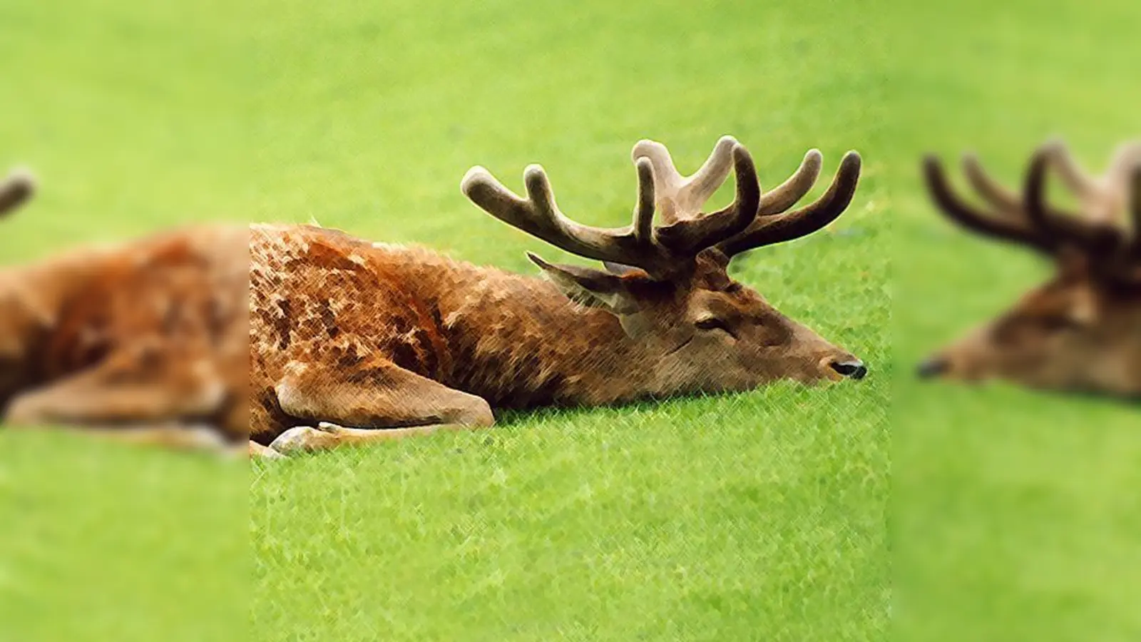 Der »Platzhirsch« ist eines der Werke, die in Poing betrachtet werden können.  (Foto: privat)