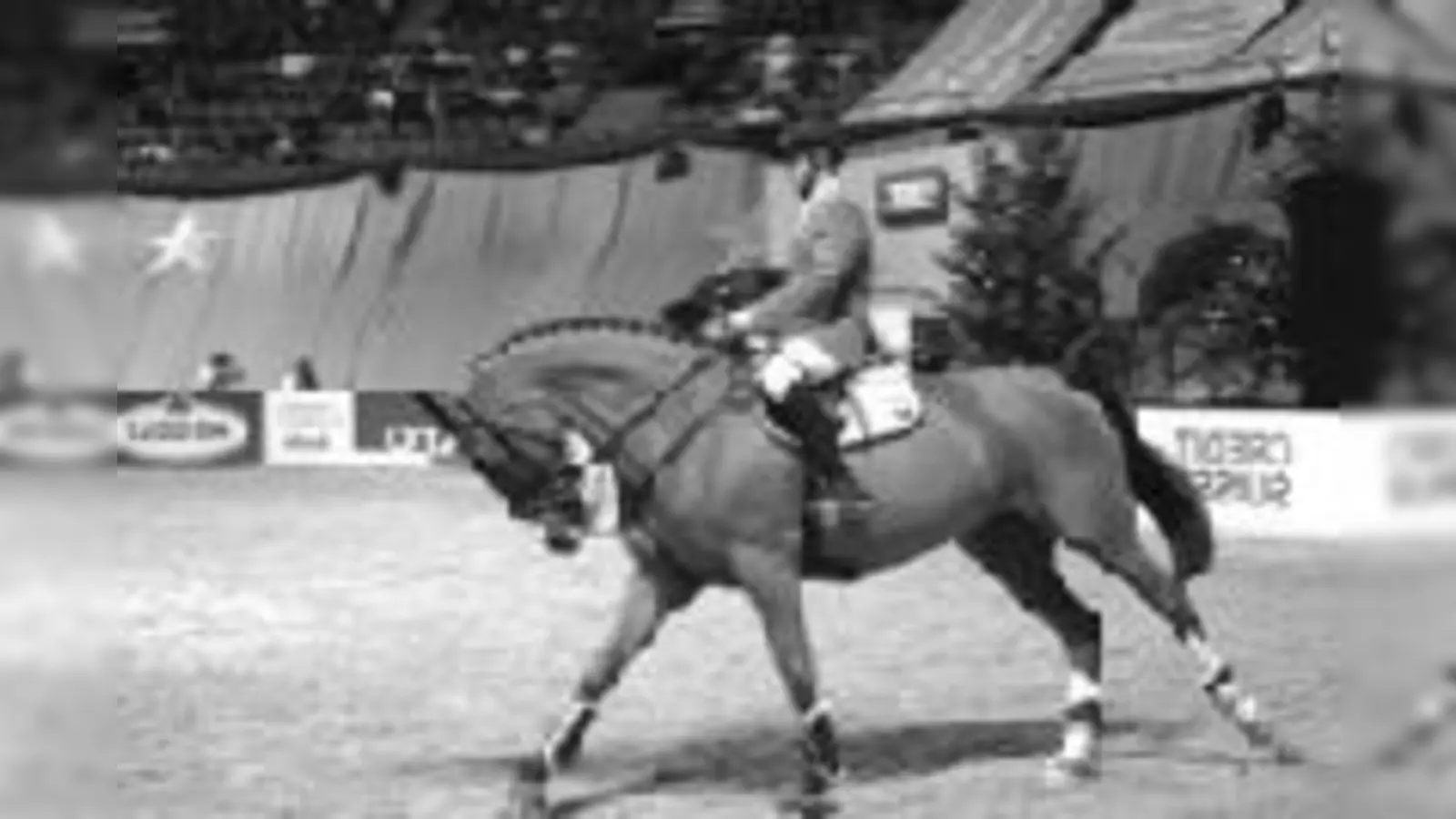 Markus Ehnig auf seinem Spielpferd Anka.  (Foto: Archiv)