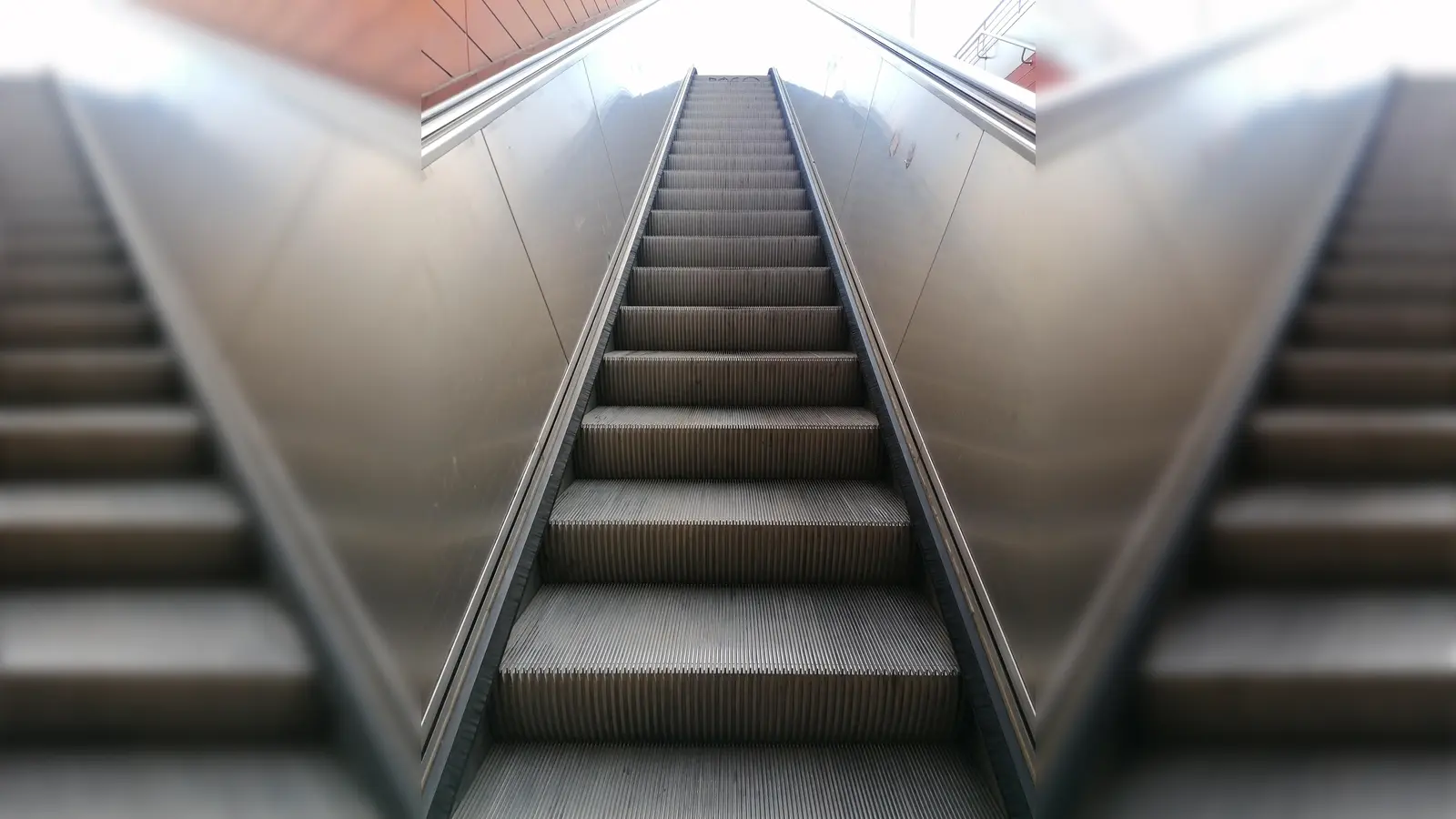 Auf Rolltreppen können sich Hunde leicht sehr weh tun. (Foto: job)