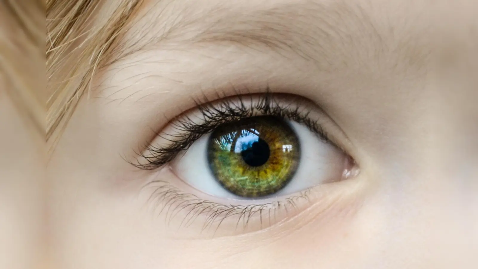 Das Beratungsmobil verspricht Aufklärung bei allen Fragen zu Augenerkrankungen.  (Foto: CC0)