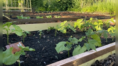 Hochbeete auf öffentlichem Grund können auch vor Wohnhäusern aufgestellt werden, wenn einige Voraussetzung beachtet werden. (Foto: Beatrix Köber)
