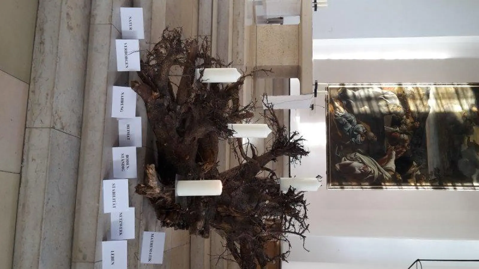 In der katholischen Pfarrei gibt es heuer statt eines Adventskranzes eine Adventswurzel. Sie stammt aus dem Botanischen Garten. (Foto: sb)