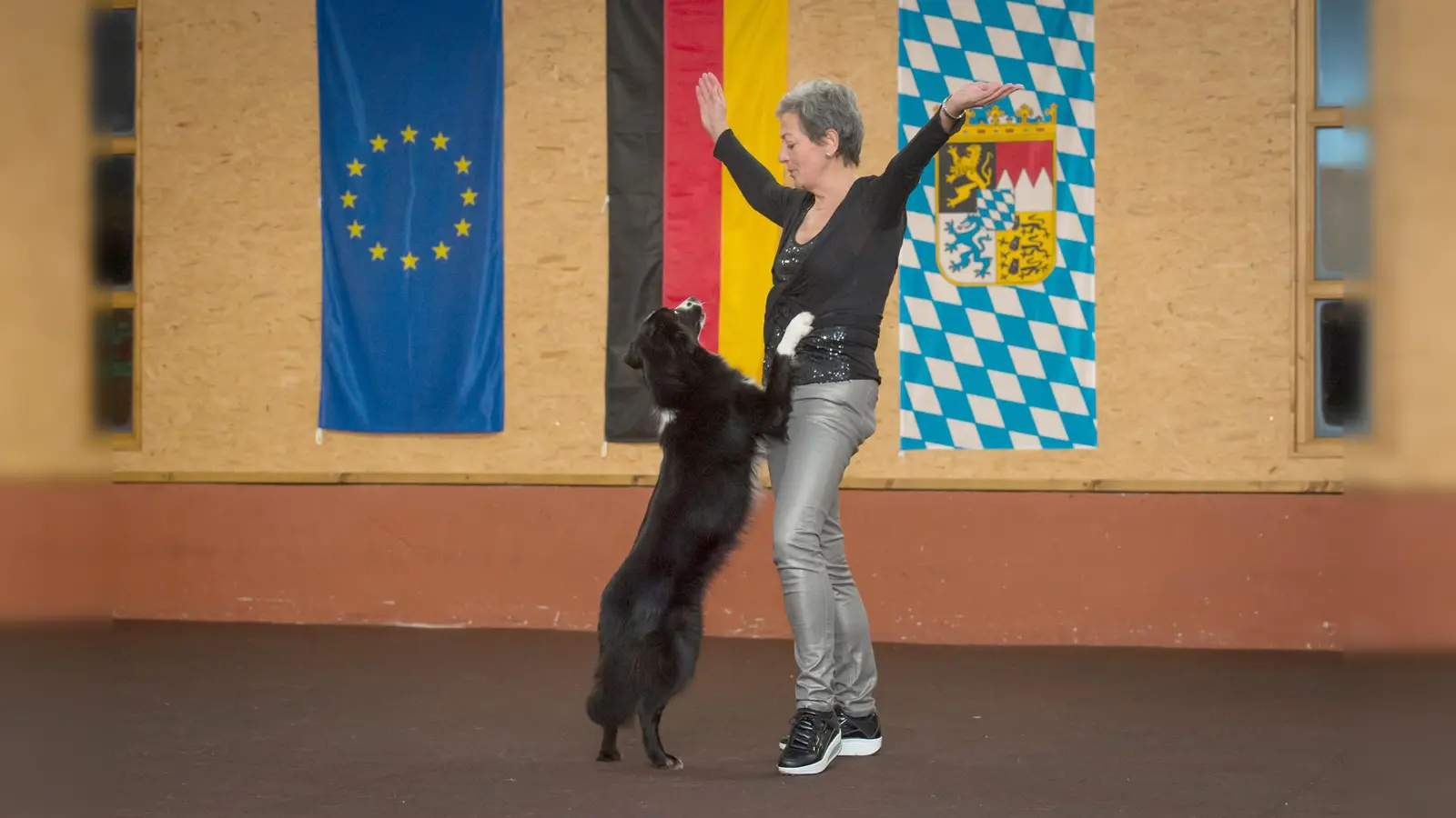 Beim Dogdancing-Turnier treten Teilnehmer aus vielen Ländern gegeneinander an.  (Foto: VA)