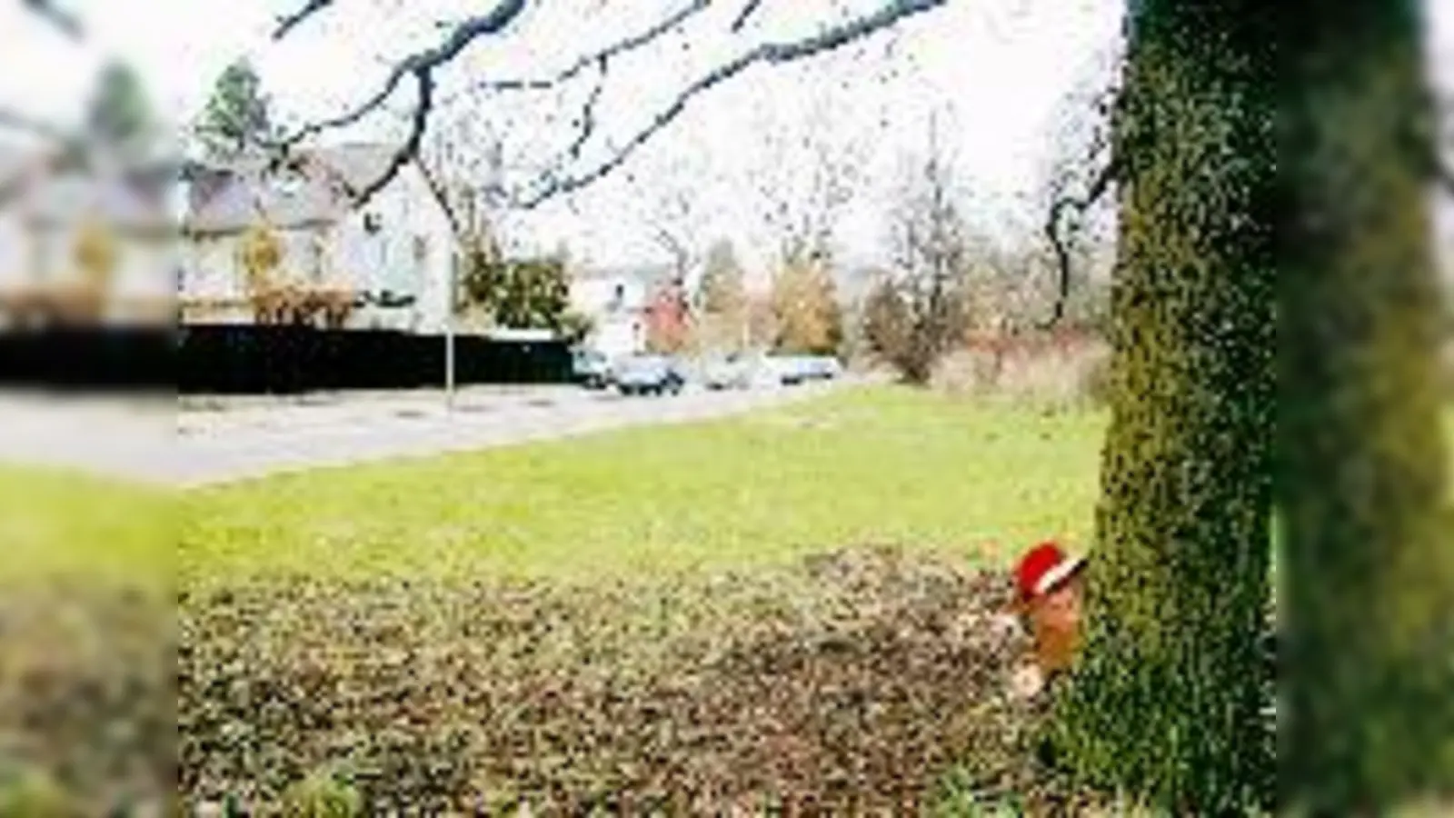 Gerade war er noch da, doch für die Kamera ist der Wichtel einfach zu schnell. Möglicherweise hält er sich noch immer im Herzogpark oder der näheren Umgebung auf.	 (Foto: Privat)