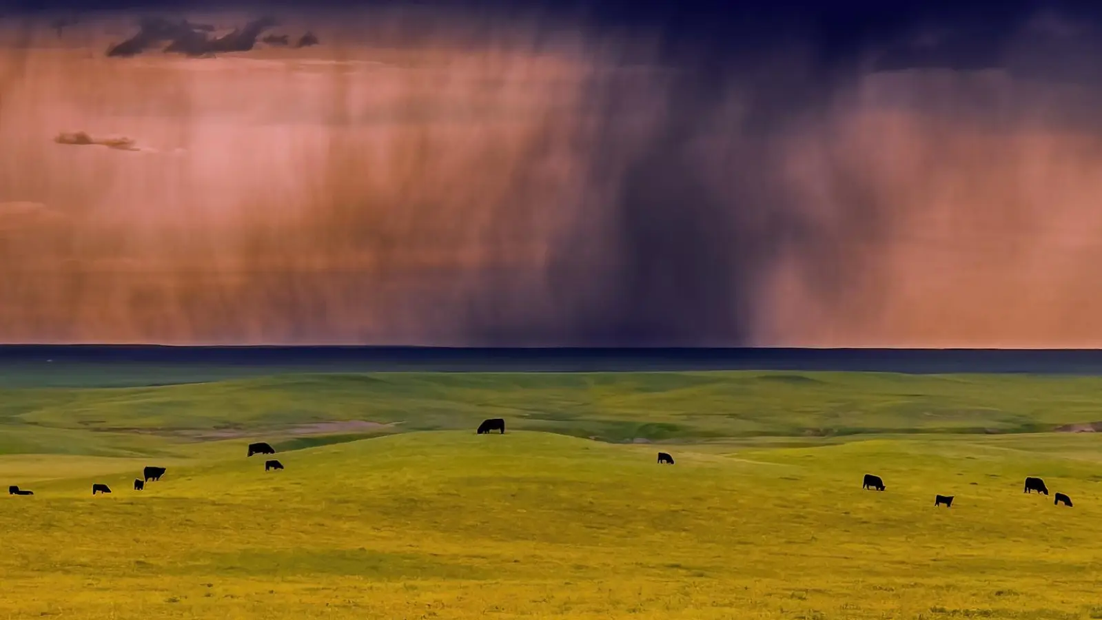 Der Fotoclub Erding lädt zur Jahresausstellung ins Frauenkircherl. (Foto: Sachweh)
