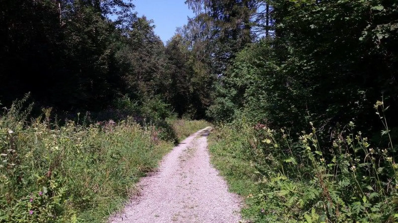 An der Bahnlinie entlang geht es zunächst leicht abwärts. (Foto: eis)