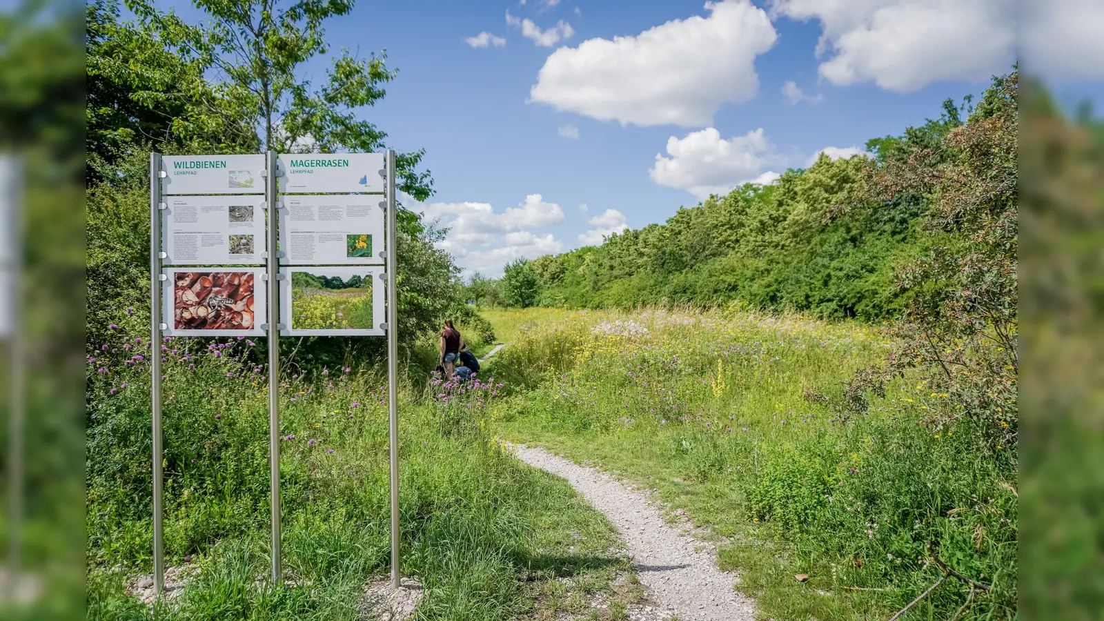 Das Umweltreferat der Gemeinde Haar hat eine Fahrrad-Rallye entlang des Gehölz-, Wildbienen- und Magerrasen-Lehrpfads zusammengestellt. (Foto: Gemeinde Haar)