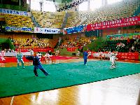 (v.l.) Andreas Graf und Sandra Eschenbach beim Taiji-Wettbewerb in Jiaozuo, China.	Fotos: Privat