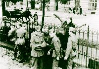 Zaun an der Orleansstraße: Sophie Scholl verabschiedete dort 1942 ihre Freunde.	Fotos: G. J. Wittenstein, ms