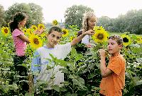 Die junge »Künstlergruppe« von Regina Hallee strahlt mit ihren Sonnenblumen um die Wette.