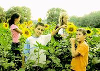 Gelbe Pracht: Die junge »Künstlergruppe« von Regina Haller mit ihren Sonnenblumen.	Fotos: rme, 3Salz