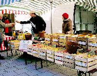 Orangen und Zitronen wird man auf dem Benno-Markt selten finden, dafür Gemüse von den heimischen Äckern. Foto: akf