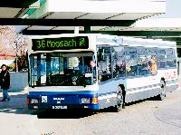Die Bussituation in Moosach verbessert sich ab Dezember 2004 mit dem neuen TopBus-Konzept. Die neu eingerichtete Linie 72 wird den Moosacher Süden erschließen.	Foto: Archiv