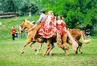 Traditionelle Kostüme tragen die Reiter bei der spanischen Feria.	Foto: Veranstalter