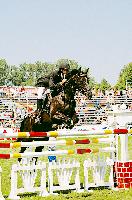Pferd International 2004: Spitzensport in Dressur und Springen, Showprogramm und Fachmesse.	Foto: ek