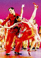 Das Musical »West Side Story« hat schon längst Kultstatus erreicht.	Foto: Deutsches Theater
