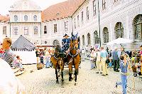 Beim Stadtgründungsfest können auch speziell Kinder in die mittelalterliche Welt Münchens eintauchen, etwa in der Residenz.	Foto: Pädogogische Aktion