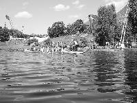 Beim Drachenbootrennen gehört Deutschland zur Weltspitze (hier eine Regatta Anfang Juli auf dem Olympiasee).	Foto: Verein