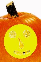Das Wichtigste für Halloween  der Kürbis als »Jack-o-Lantern«.	Foto: Veranstalter