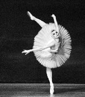 Ballett auf höchstem Niveau mit dem Russischen Staatsballett.	Foto: PGM