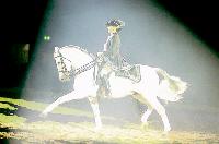 Anmutig und edel, aber auch sportlich und wendig  so zeigen sich die Pferde in der Galanacht.	Foto: VA