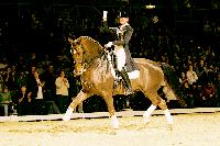 Rusty geht in Rente. Das Gold-Pferd hat mit Ulla Salzgeber in München einen seiner letzten öffentlichen Auftritte.