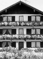 Daheim ist es doch am Schönsten: Wenn die Balkonblumen blühen.	Foto: VA