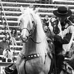 Pferd International 2005: Showprogramm und Höchstleistungen in Spring- und Dressurreiten umrahmt von einer Fachmesse.	Foto: ek