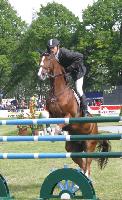 Bei der Pferd International 2005 zeigen Pferde und Reiter wieder, zu welchen Höchstleistungen sie in der Lage sind. Foto: ek
