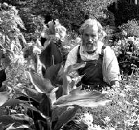 Hans Schmitt betreut die Freilandführung im Botanischen Garten und erklärt die Blumenvielfalt anschaulich in ihrer ganzen Pracht.	 Foto: VA