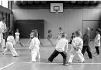 Schon ab vier Jahren können Kinder Kampfsport lernen. Foto: Verein