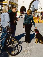 Die Stadtkämmerei prüft, ob Münchner Hunde auch wirklich gemeldet sind. Foto: Stadt München