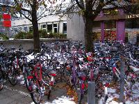 Fahrrad-Stellplätze sind im Unibereich Mangelware. Die Maxvorstädter Bürger fordern eine Ausweitung der Flächen. Foto: ras