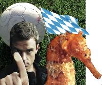 200 Jahre Königreich Bayern, hoher Besuch von Robbie Williams, der Einzug von Seepferdchen und anderem Wassergetier in den Olympiapark und die WM 2006: Es gibt viel zu feiern im neuen Jahr. Pack mas an!