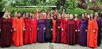Der Münchner Frauenchor hat nicht nur tolle Gewänder, sondern vor allem tolle Stimmen. Foto: Verein