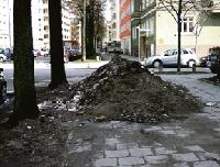 Unzumutbar: Müllhaufen blockieren die Fußwege in der Agnesstraße. 	Foto: to