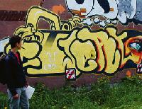 Die Führung der Klasse 11p gleicht einem Balanceakt zwischen lebender Wäscheleine am Fuße des Schuttbergs und Schwabinger Graffiti-Kultur. 	Fotos: ks