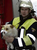 Den Mischlingshund gaben die Feuerwehrmänner in die Obhut der Polizei.	 Foto: Feuerwehr