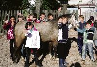 Seit ein paar Wochen dürfen 15 Kinder der Grundschule an der Knappertsbuschstraße einmal pro Woche an einem innovativem Sportförderunterricht teilnehmen: »Bewegen mit und auf dem Pferd«. 	Foto: Privat
