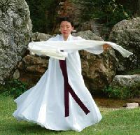 Ein möglicher Programmpunkt der Moosacher Kulturtage: Koreanischer Tanz.Foto: VA