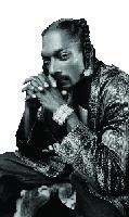 Gefährlich schaut er noch, aber Schlagzeilen liefert der frühere Gangster Snoop Dogg nicht mehr mit Schießereien. Er ist längst zum erfolgreichen Multi-Geschäftsmann geworden.
	  Foto: Anthony Mandler/Universal